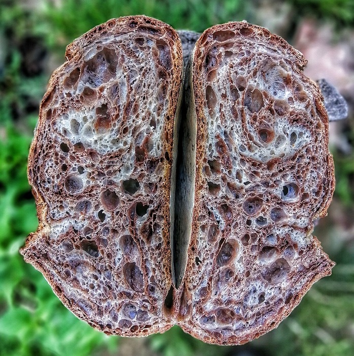 Kurzy a přihlášky TIŠNOV Svetzkvasku